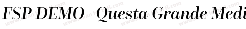FSP DEMO   Questa Grande Medium Reg字体转换